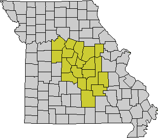 Region 9 Map